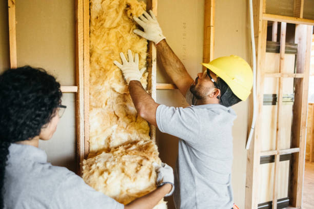 Best Insulation Removal  in Kilgore, TX